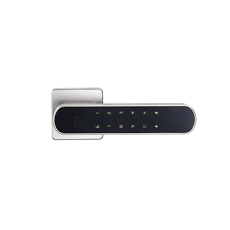 Smart Handle Lock – FM15